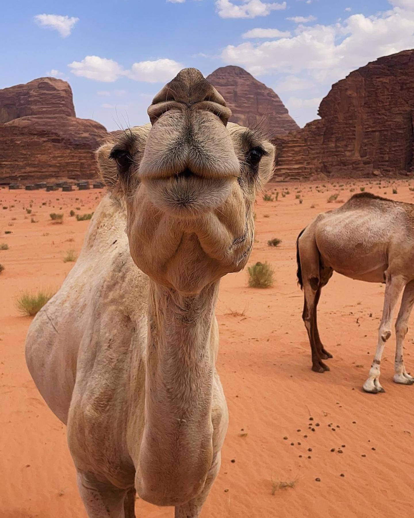 Wadi Rum Classic Camp Esterno foto