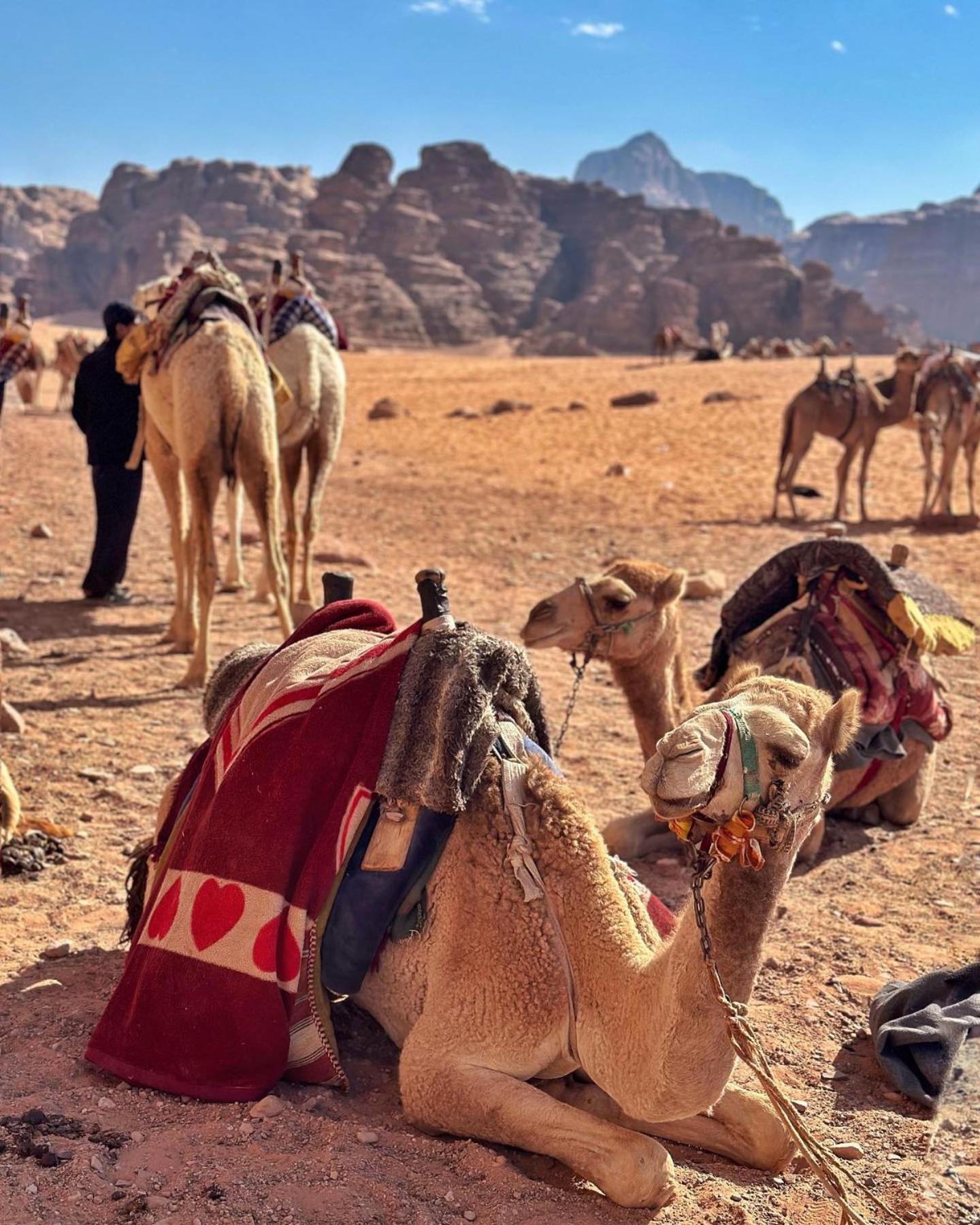 Wadi Rum Classic Camp Esterno foto