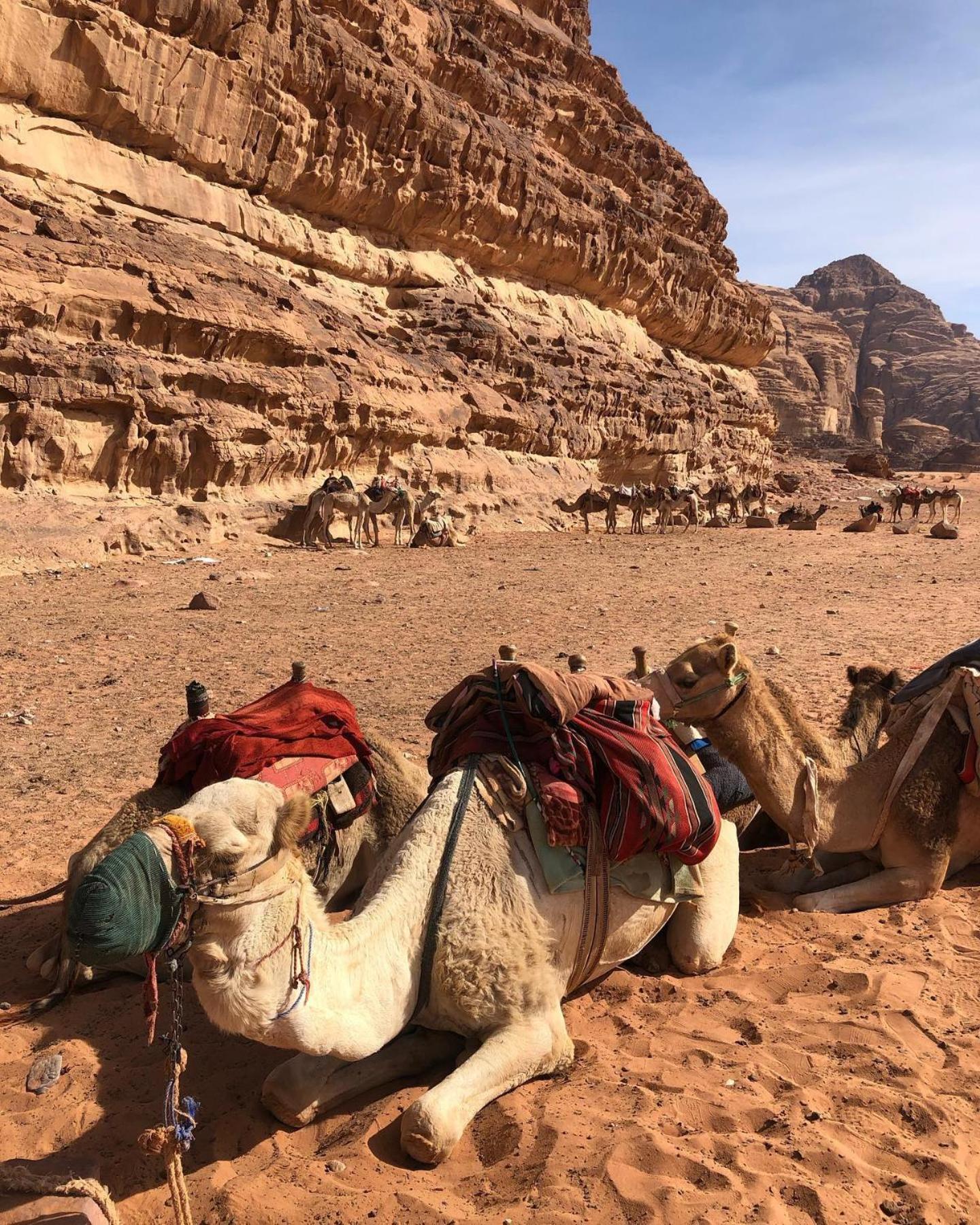 Wadi Rum Classic Camp Esterno foto